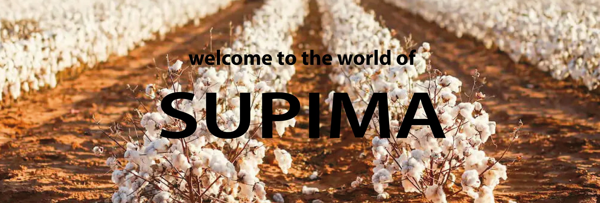 Premium Supima Cotton
